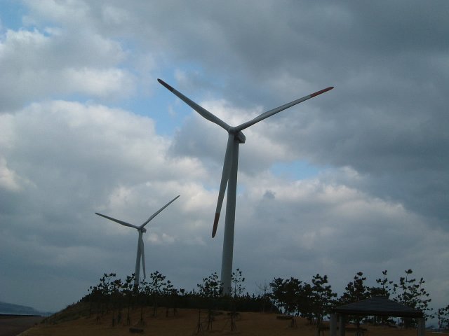 eco20071213_143335.JPG