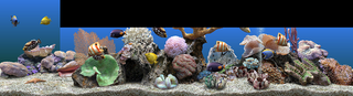 20100113Aquarium.png