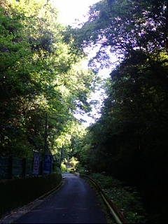 20100514_074753.JPG