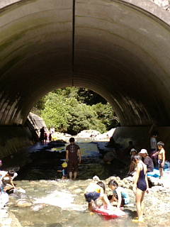 20100719_111739.JPG