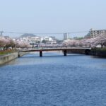 則松金山川花のボランティア公園