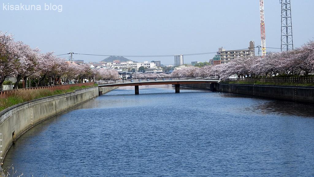 則松金山川花のボランティア公園